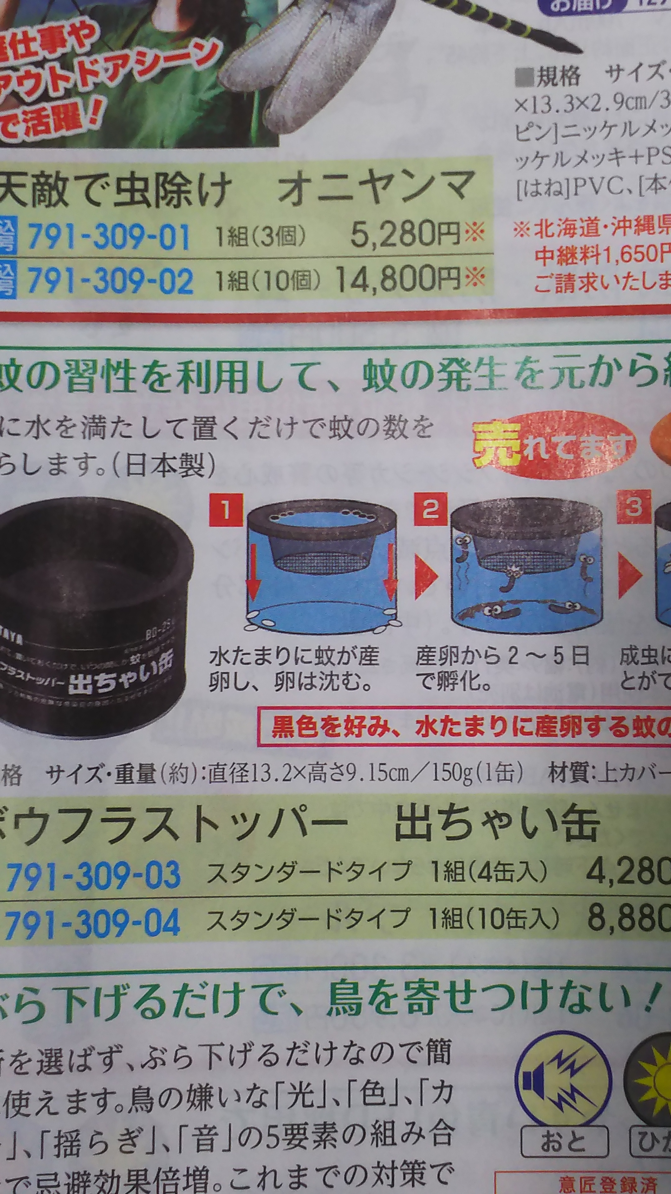 http://www.ige.tohoku.ac.jp/prg/watanabe/as-vegetable2023/images/DSC_0123.JPG