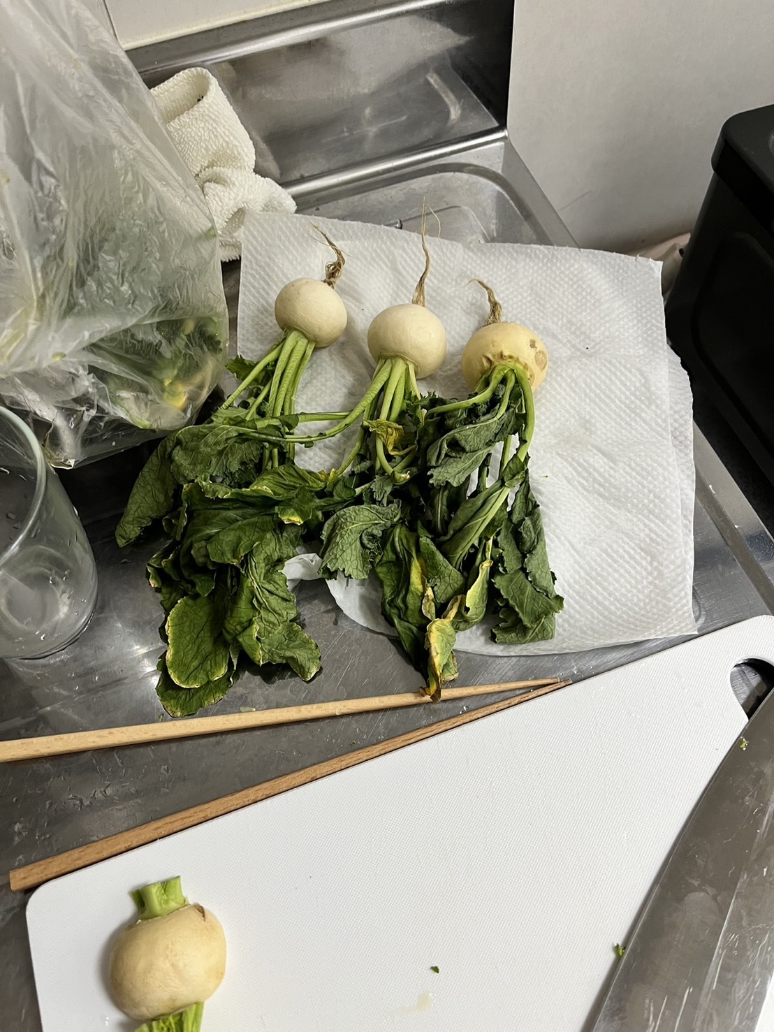 http://www.ige.tohoku.ac.jp/prg/watanabe/as-vegetable2023/images/S__39092380_0.jpg