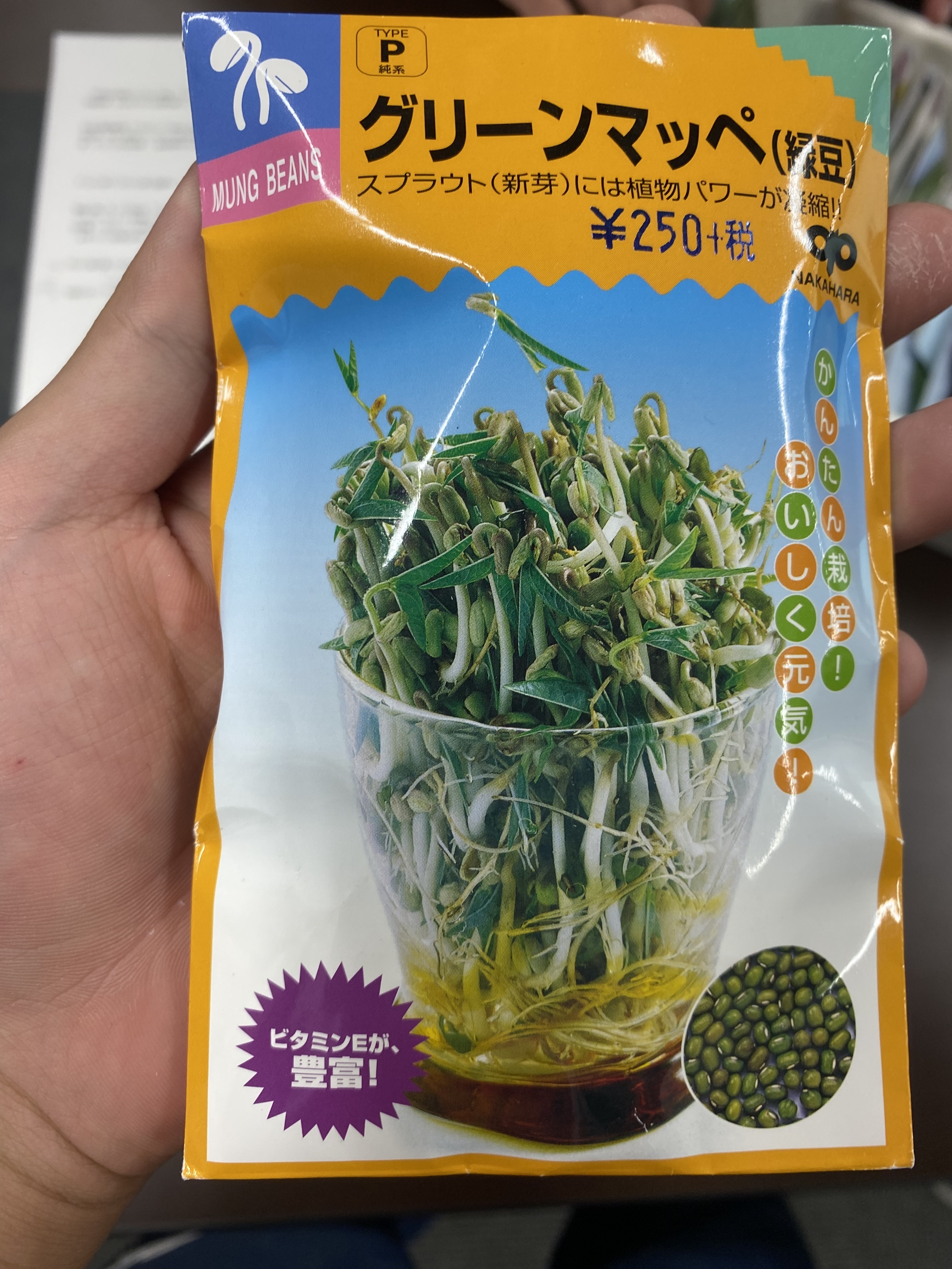 http://www.ige.tohoku.ac.jp/prg/watanabe/as-vegetable2023/images/images/E4A12532-8EFC-4B14-89FD-DDC709EBE9D4.jpeg