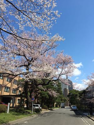 20170413135016-870ede7dd714bf0b1d430c18f610fc322714adcd.jpg