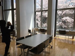 20170413135018-7697feb77671b2b3b64e2df0d914fbb77214e310.jpg