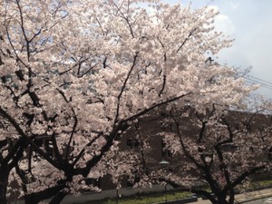 20170413141537-f04b42c20eccf03555556cdb332ce13d6206e3b8.jpg