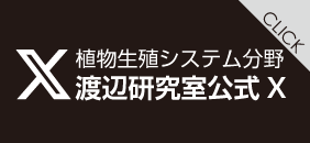 公式X