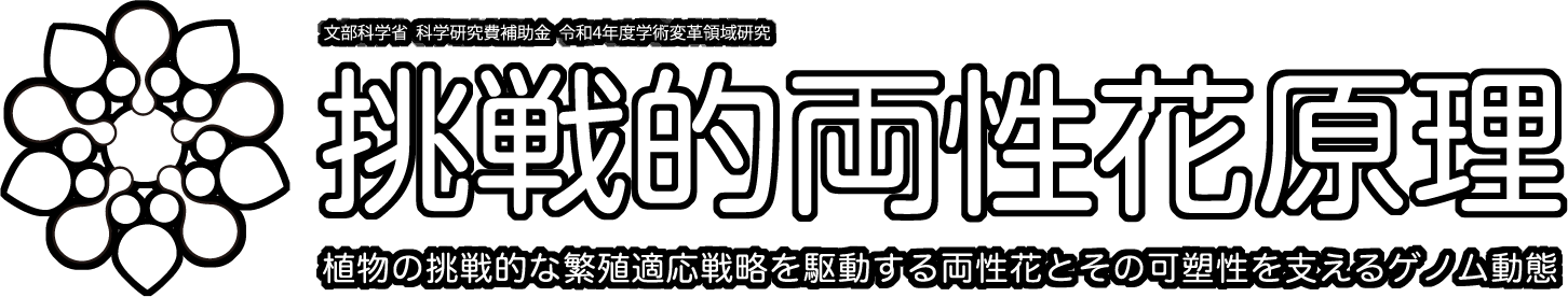 令和4（2022）年度 学術変革領域研究(A) 植物の挑戦的な繁殖適応戦略を駆動する両性花とその可塑性を支えるゲノム動態