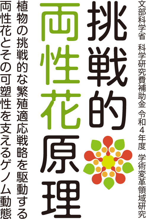 令和4（2022）年度 学術変革領域研究(A) 植物の挑戦的な繁殖適応戦略を駆動する両性花とその可塑性を支えるゲノム動態