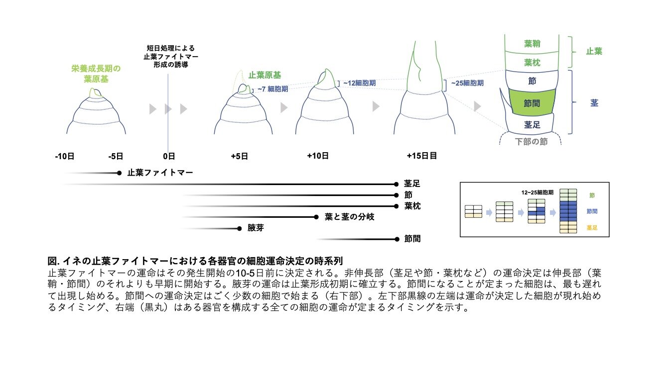 Tsuda20230929.jpg