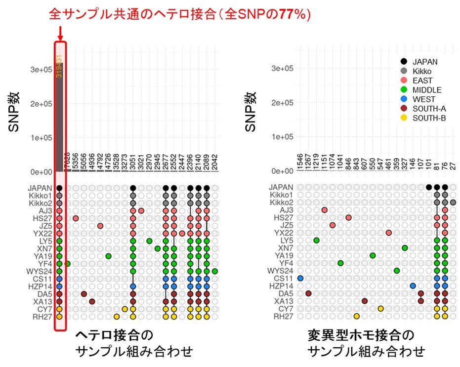 topics_20230626-2.jpg