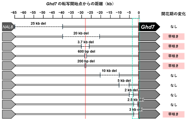 topics_20250808-2-2.png