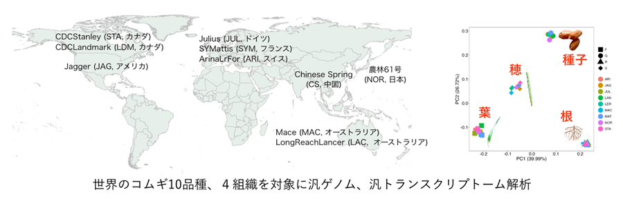 20260127shimizu-01-w900.png