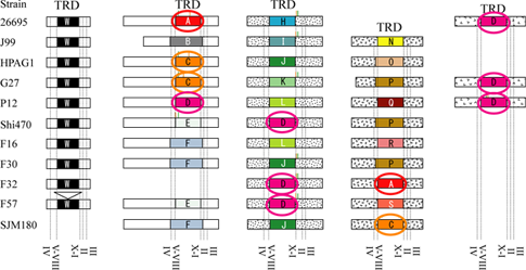 TypeIII_loci_wcircle.png