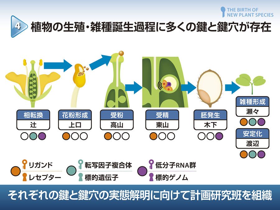 それぞれの鍵と鍵穴の実態解明に向けて計画研究班を組織