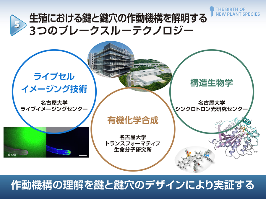 作動機構の理解を鍵と鍵穴のデザインにより実証する