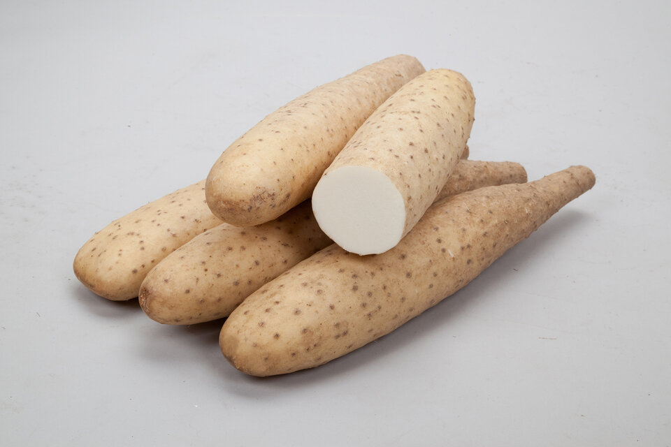 https://www.ige.tohoku.ac.jp/prg/watanabe/as-vegetable/20250214173101-e19766d6dd6dffd59060524b77833aee366d26ee.jpg