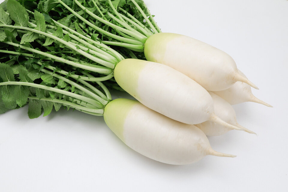 https://www.ige.tohoku.ac.jp/prg/watanabe/as-vegetable/20250214173553-77c149ba9fed012c07124de914501c01fd6f3709.jpg