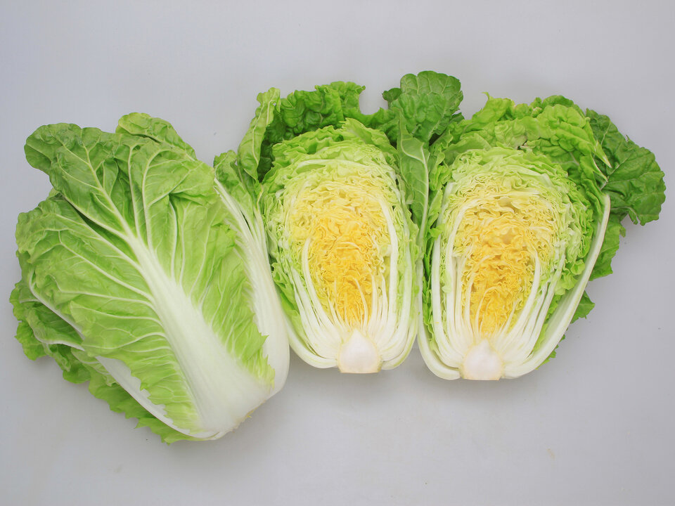 https://www.ige.tohoku.ac.jp/prg/watanabe/as-vegetable/20250214173620-13f5cf19e42af8c1f425535dfaa1b9004d3259ee.jpg