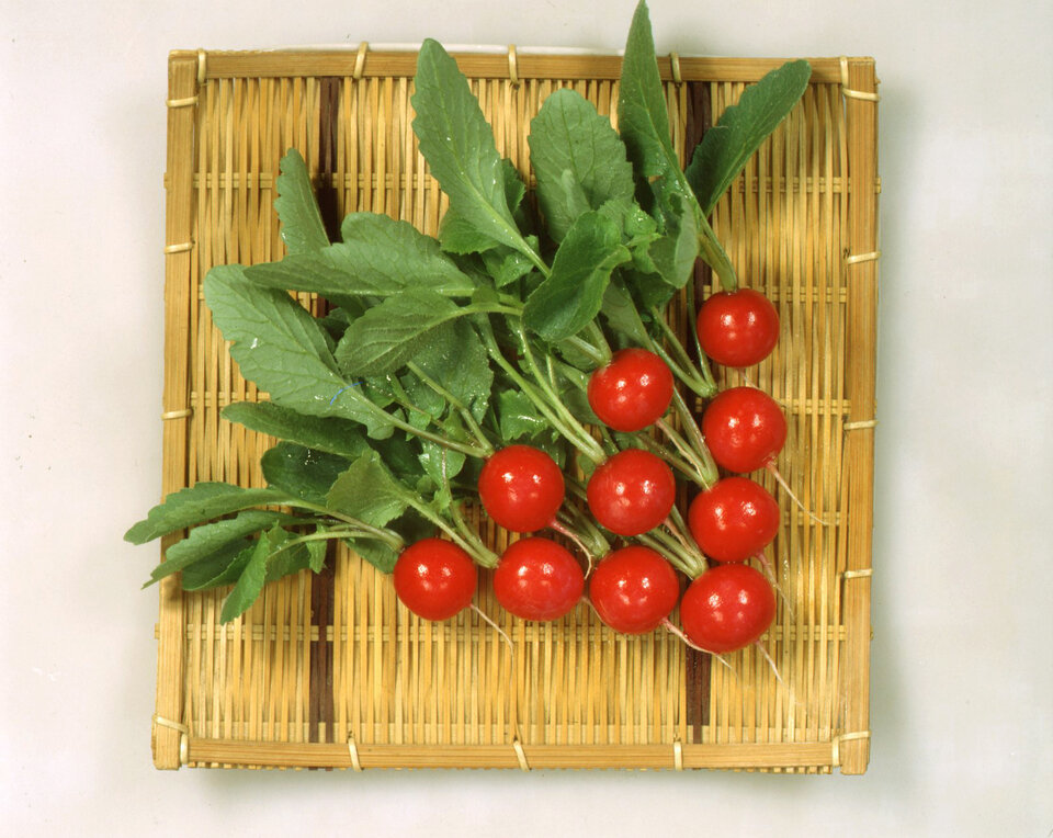 https://www.ige.tohoku.ac.jp/prg/watanabe/as-vegetable/20250214173728-23b20e41f878c5ed1c69fa19169ba1453f3d9de5.jpg