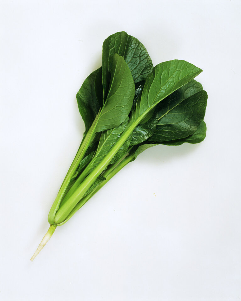 https://www.ige.tohoku.ac.jp/prg/watanabe/as-vegetable/20250214173741-b8a58cef02ab6ff54c259ce1cf055e7ac883bb00.jpg