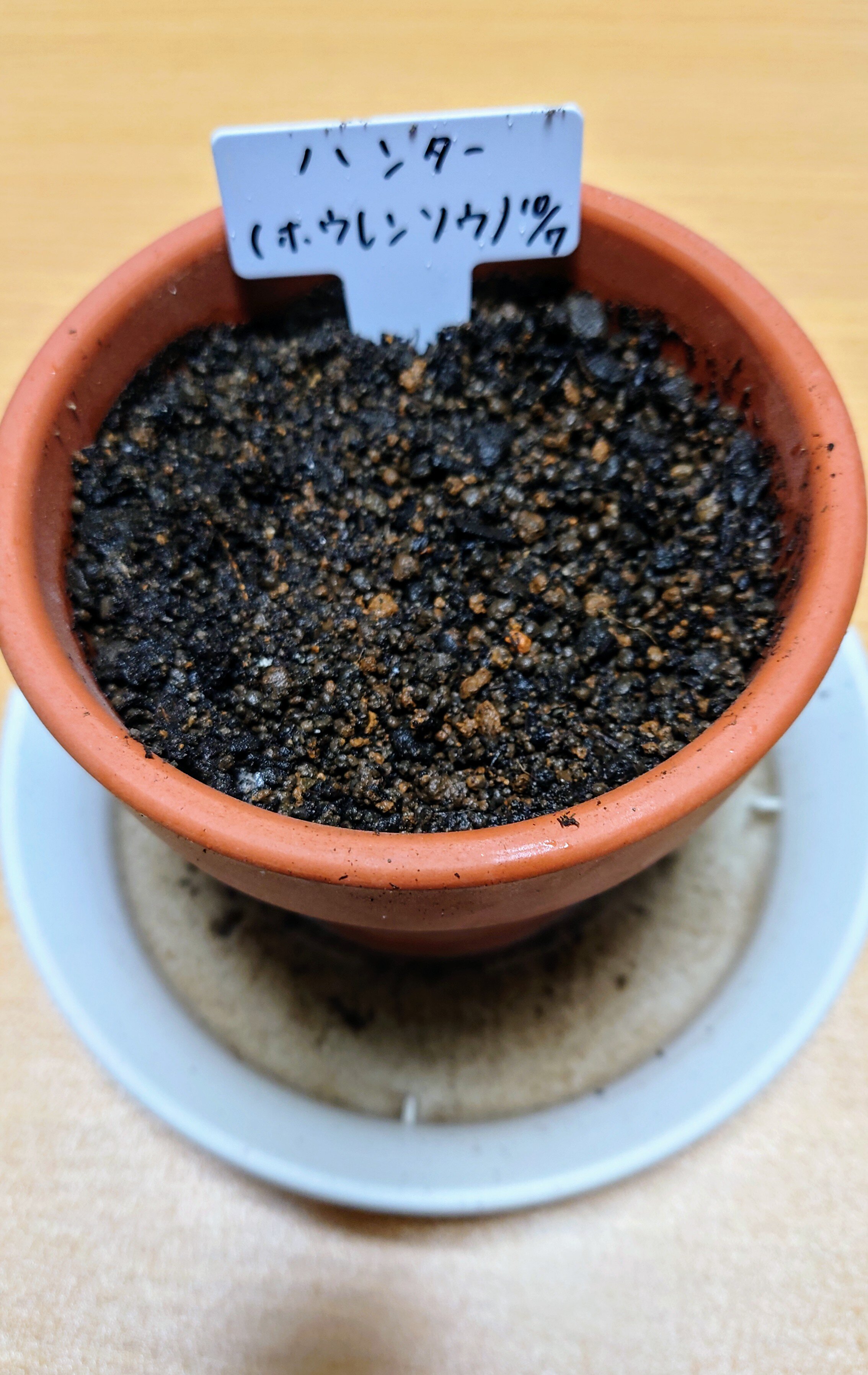 https://www.ige.tohoku.ac.jp/prg/watanabe/as-vegetable2024/2024/10/0a0c30b980b3ea4328b9ce4c271073c9b0f1ba18.JPG