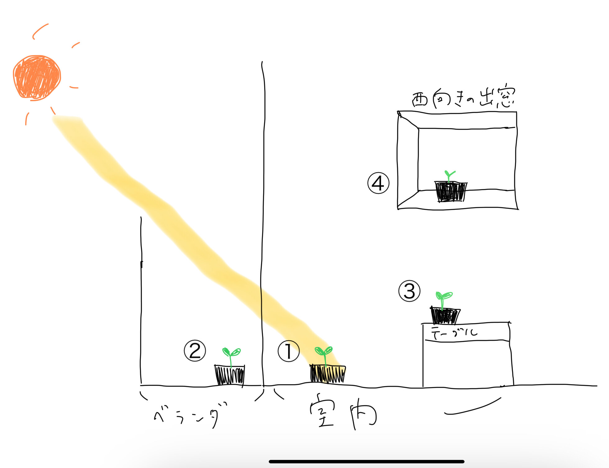https://www.ige.tohoku.ac.jp/prg/watanabe/as-vegetable2024/2024/10/7bc1e8046a6bcd4bb8f4d3bb88244e87aecf2e64.jpg