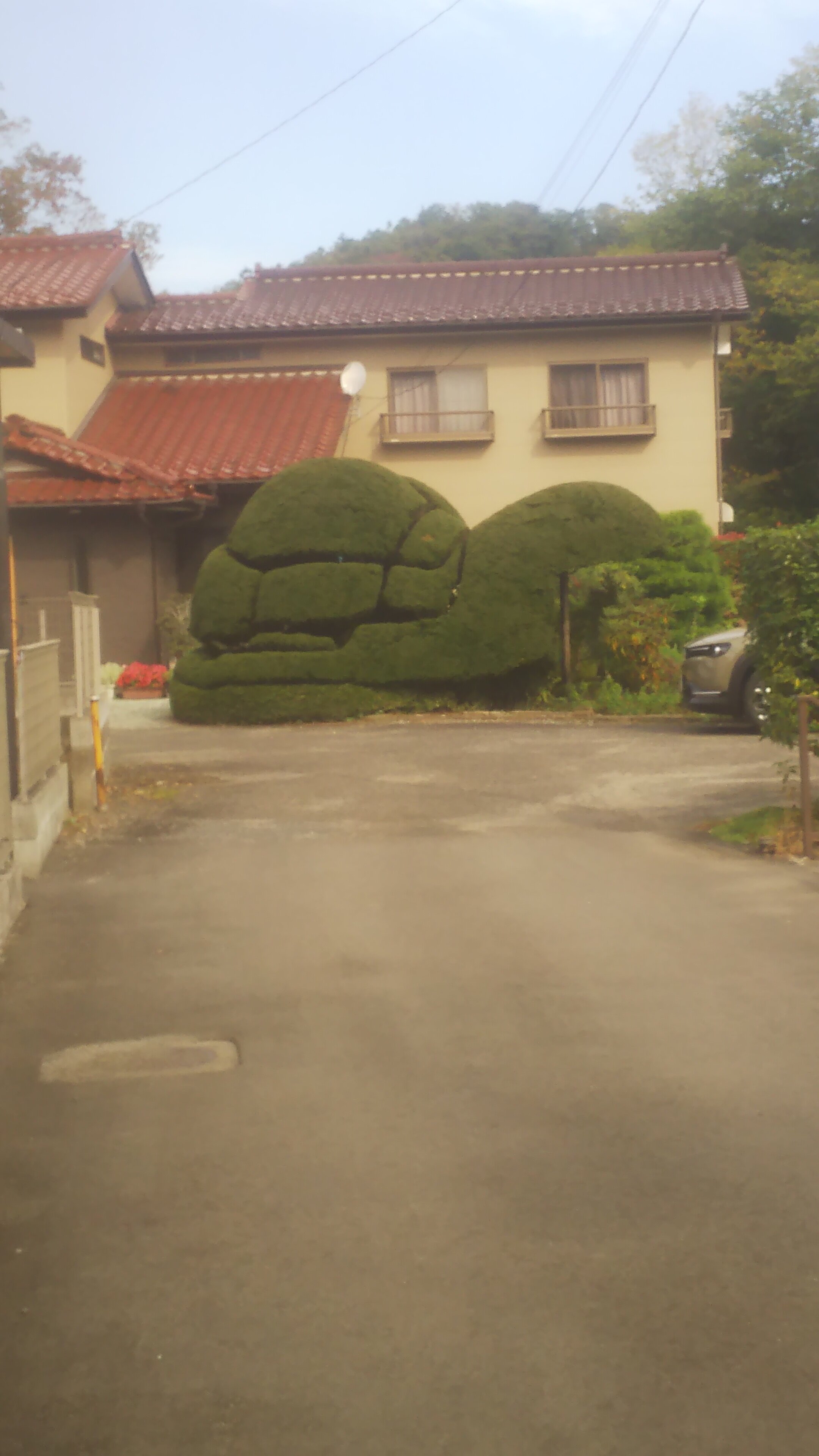 https://www.ige.tohoku.ac.jp/prg/watanabe/as-vegetable2024/2024/10/DSC_0007.JPG