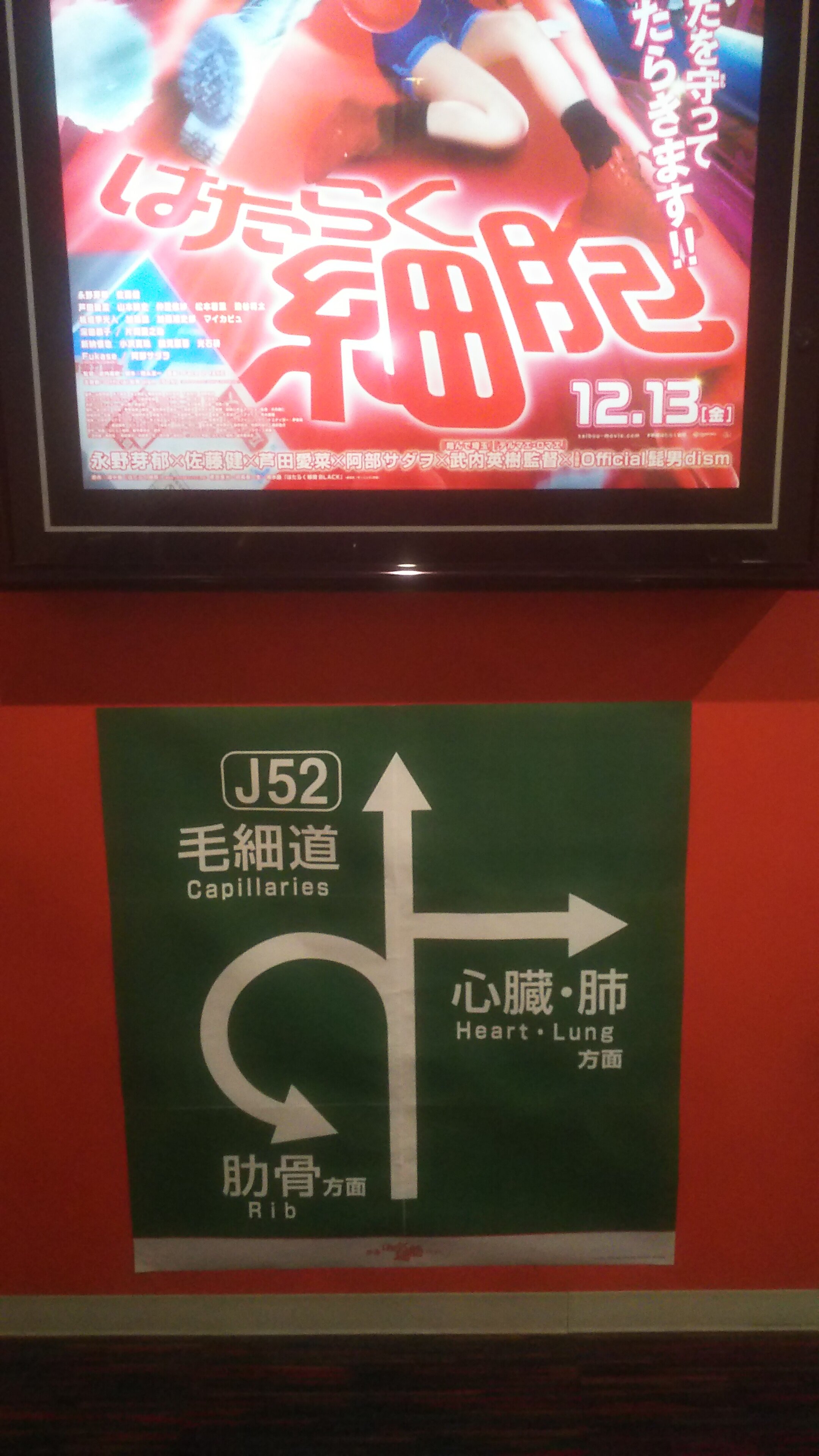 https://www.ige.tohoku.ac.jp/prg/watanabe/as-vegetable2024/2024/10/DSC_0022.JPG