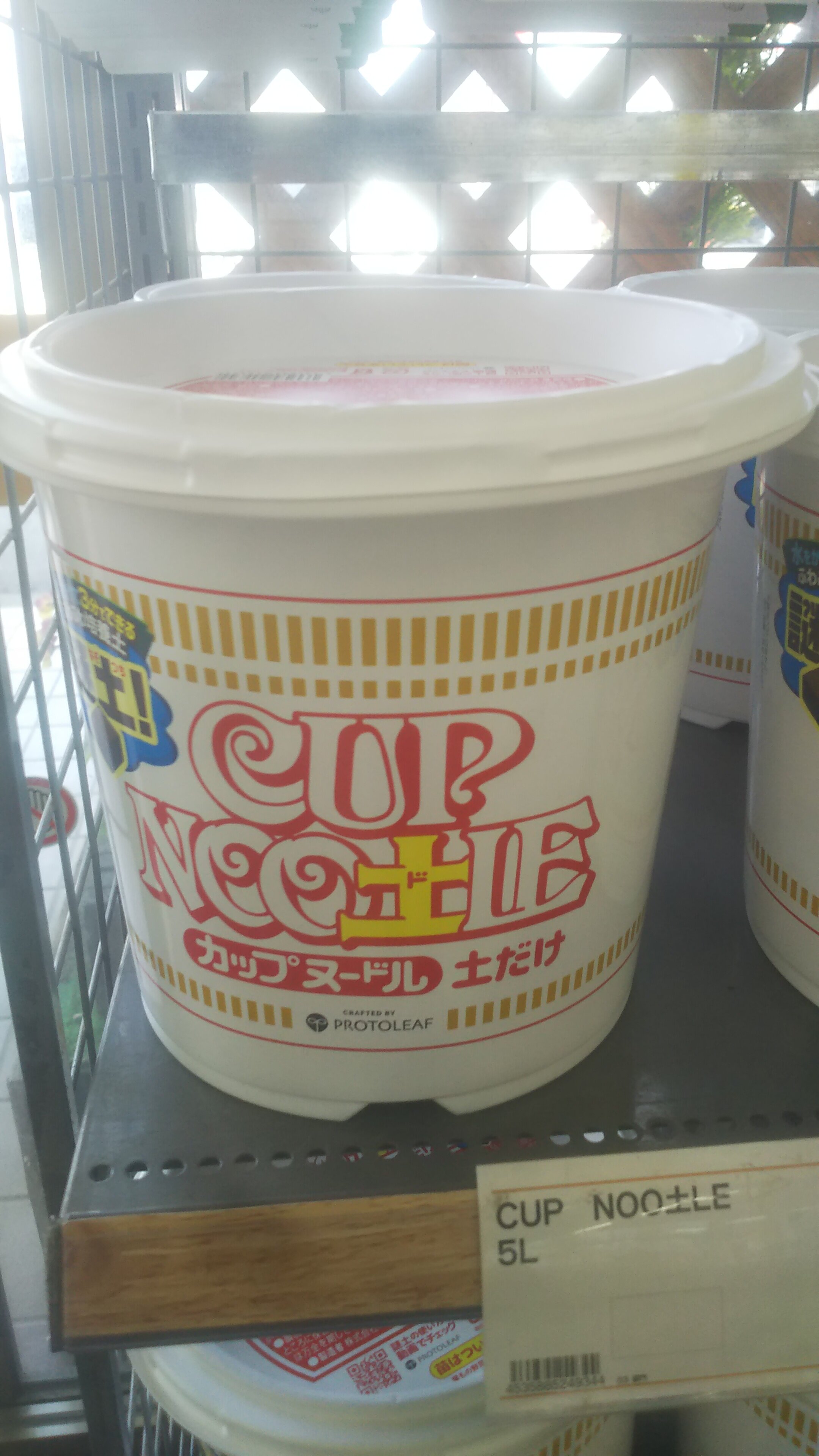 https://www.ige.tohoku.ac.jp/prg/watanabe/as-vegetable2024/2024/10/DSC_0378.JPG