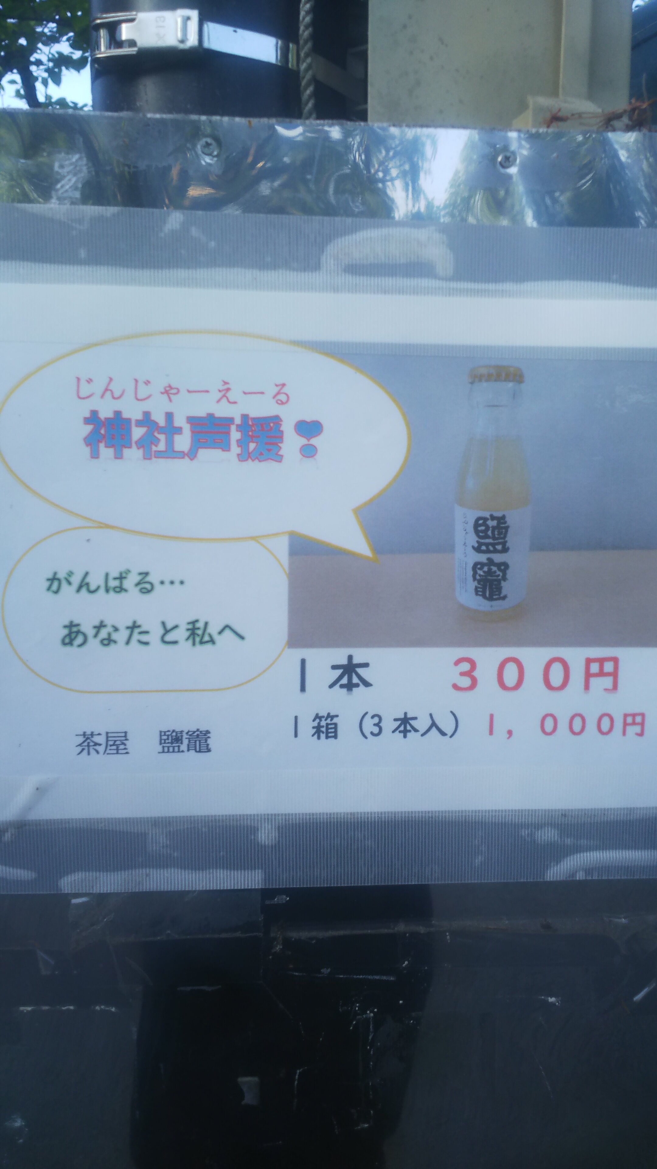 https://www.ige.tohoku.ac.jp/prg/watanabe/as-vegetable2024/2024/10/DSC_0389.JPG