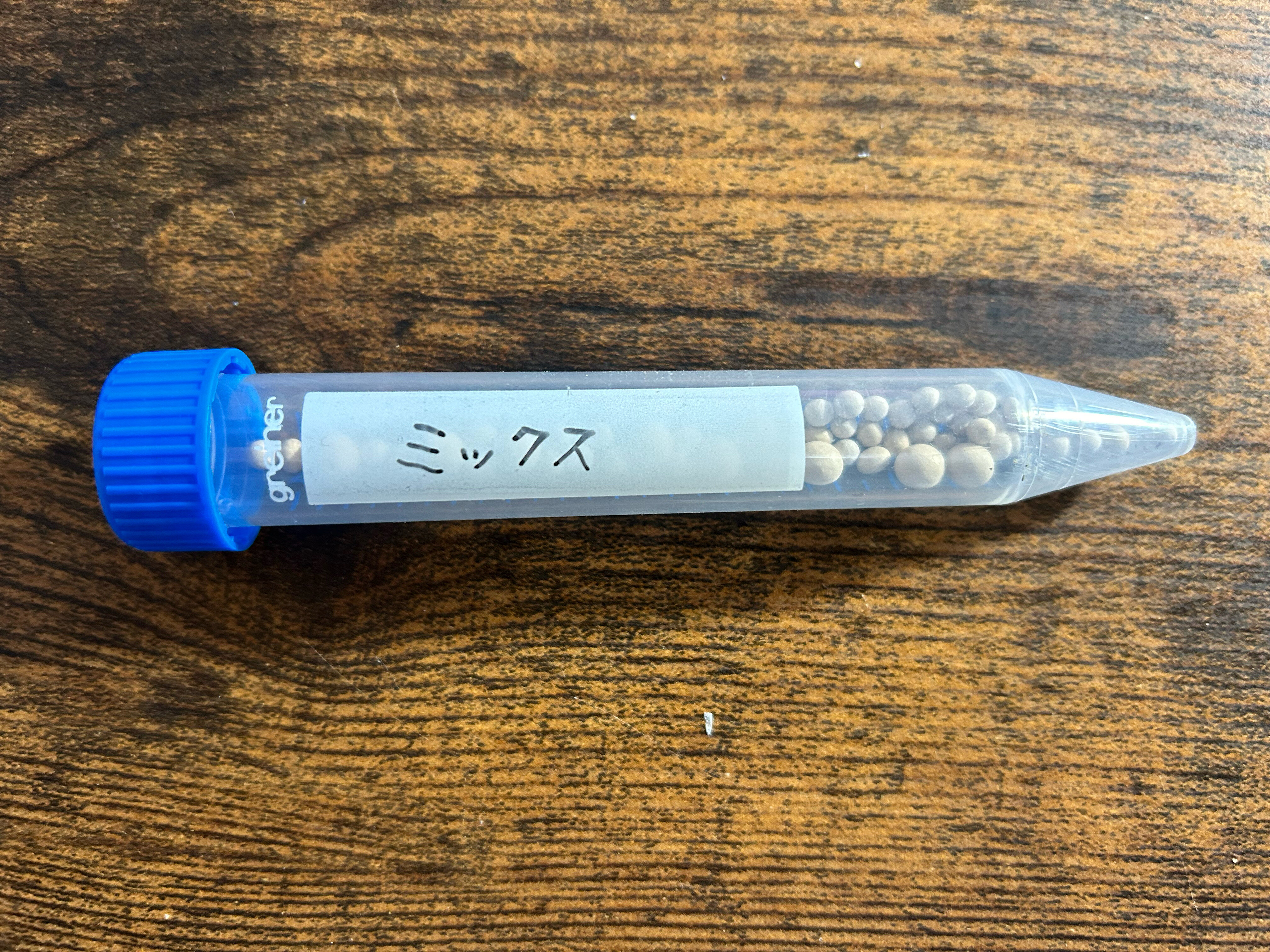 https://www.ige.tohoku.ac.jp/prg/watanabe/as-vegetable2024/2024/10/IMG_5584.JPG