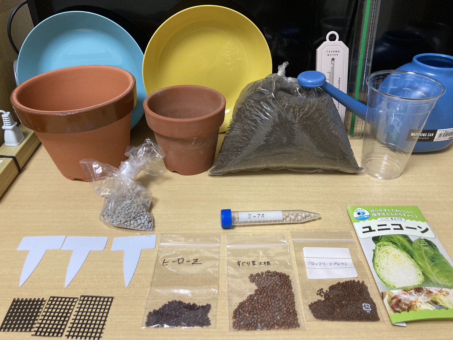 https://www.ige.tohoku.ac.jp/prg/watanabe/as-vegetable2024/2024/10/S__38404119.jpg