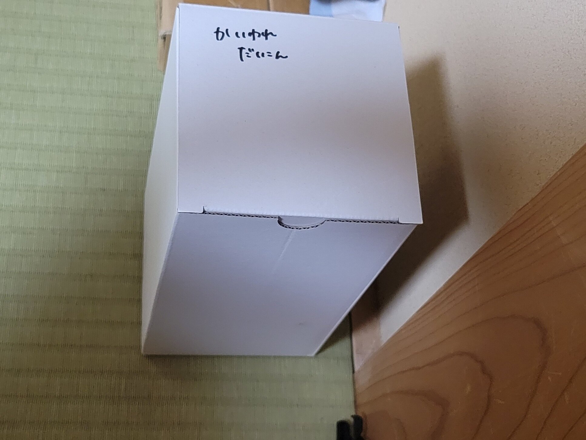 https://www.ige.tohoku.ac.jp/prg/watanabe/as-vegetable2024/2024/11/20241128_220521.jpg