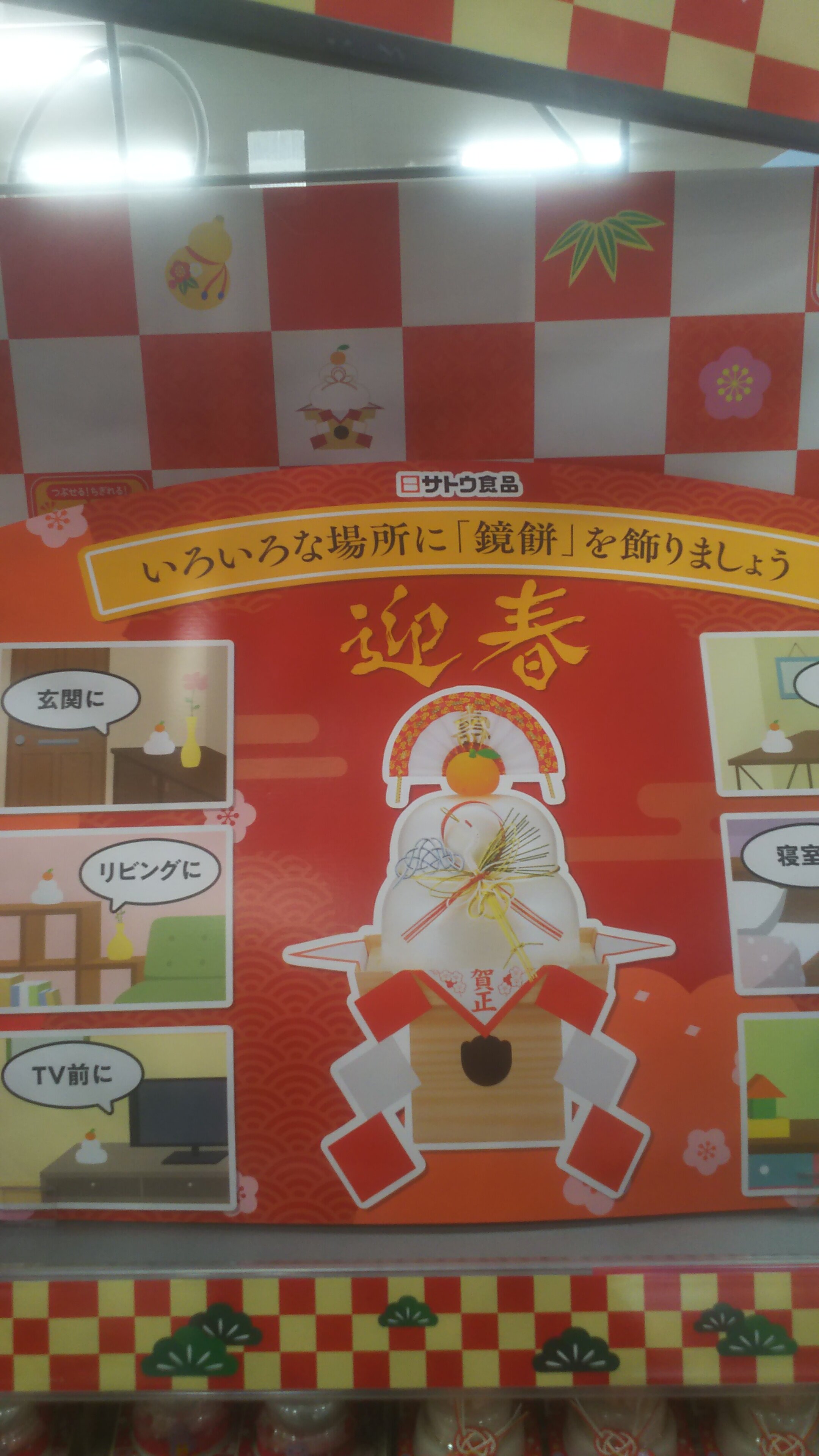 https://www.ige.tohoku.ac.jp/prg/watanabe/as-vegetable2024/2024/11/DSC_0030.JPG