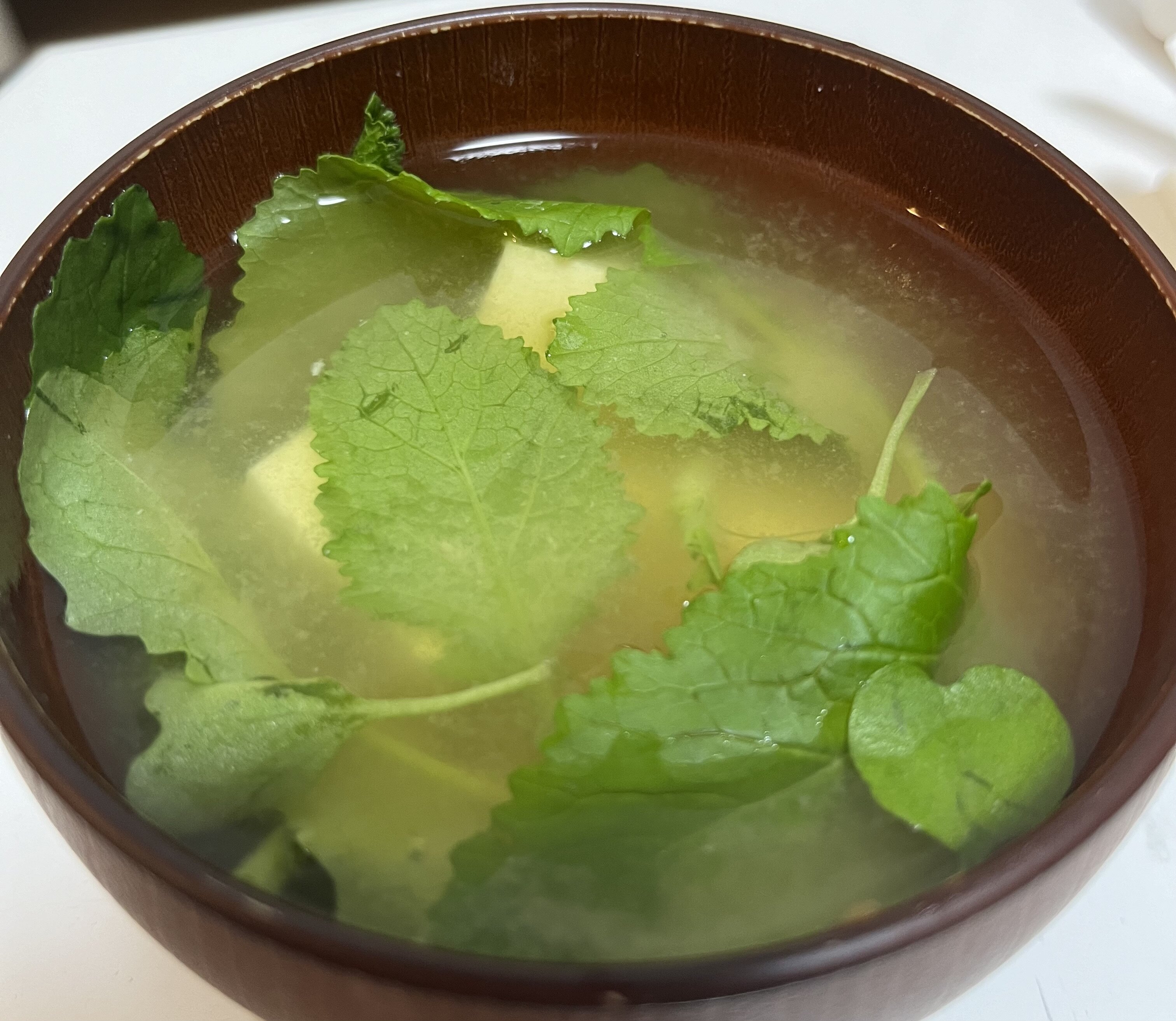 https://www.ige.tohoku.ac.jp/prg/watanabe/as-vegetable2024/2024/11/IMG_4856.jpg