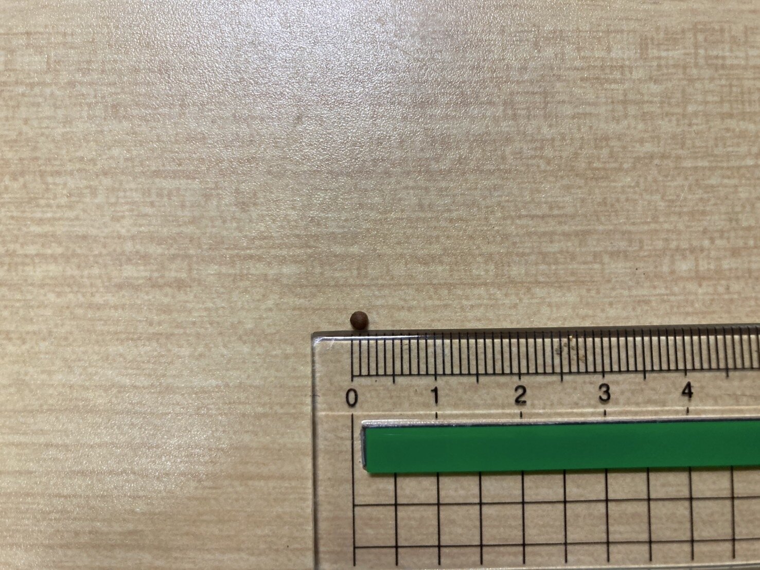 https://www.ige.tohoku.ac.jp/prg/watanabe/as-vegetable2024/2024/11/S__40509444.jpg