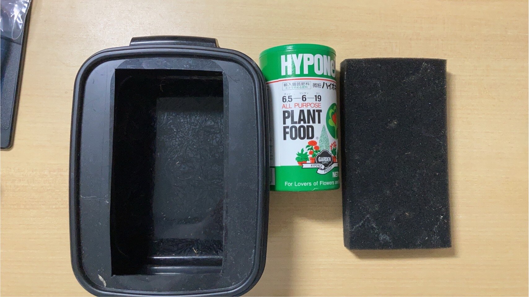 https://www.ige.tohoku.ac.jp/prg/watanabe/as-vegetable2024/2024/11/S__40583186.jpg