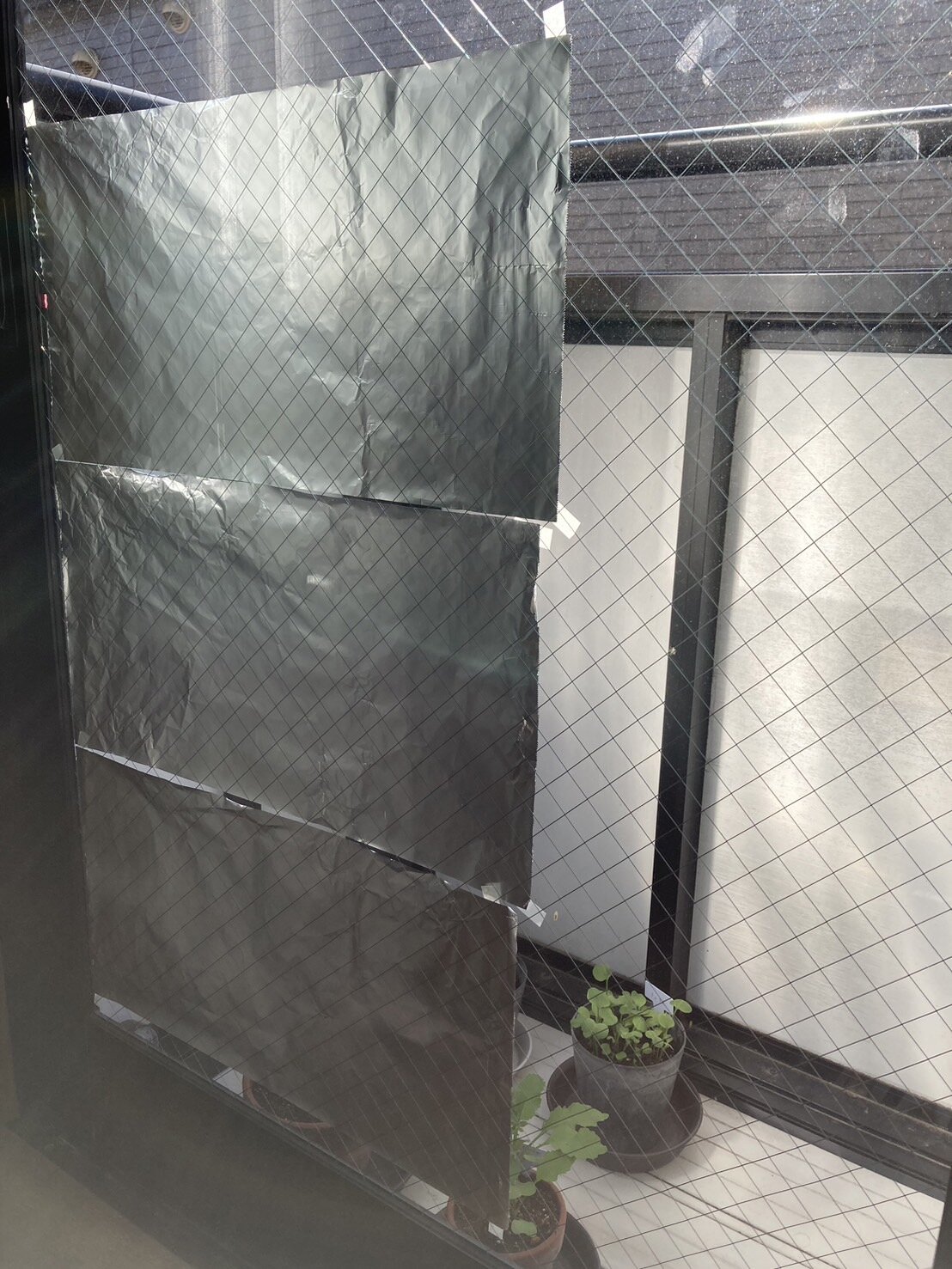 https://www.ige.tohoku.ac.jp/prg/watanabe/as-vegetable2024/2024/11/e3228dbd1a931d2d075ae5868344c4b8083f6823.jpg