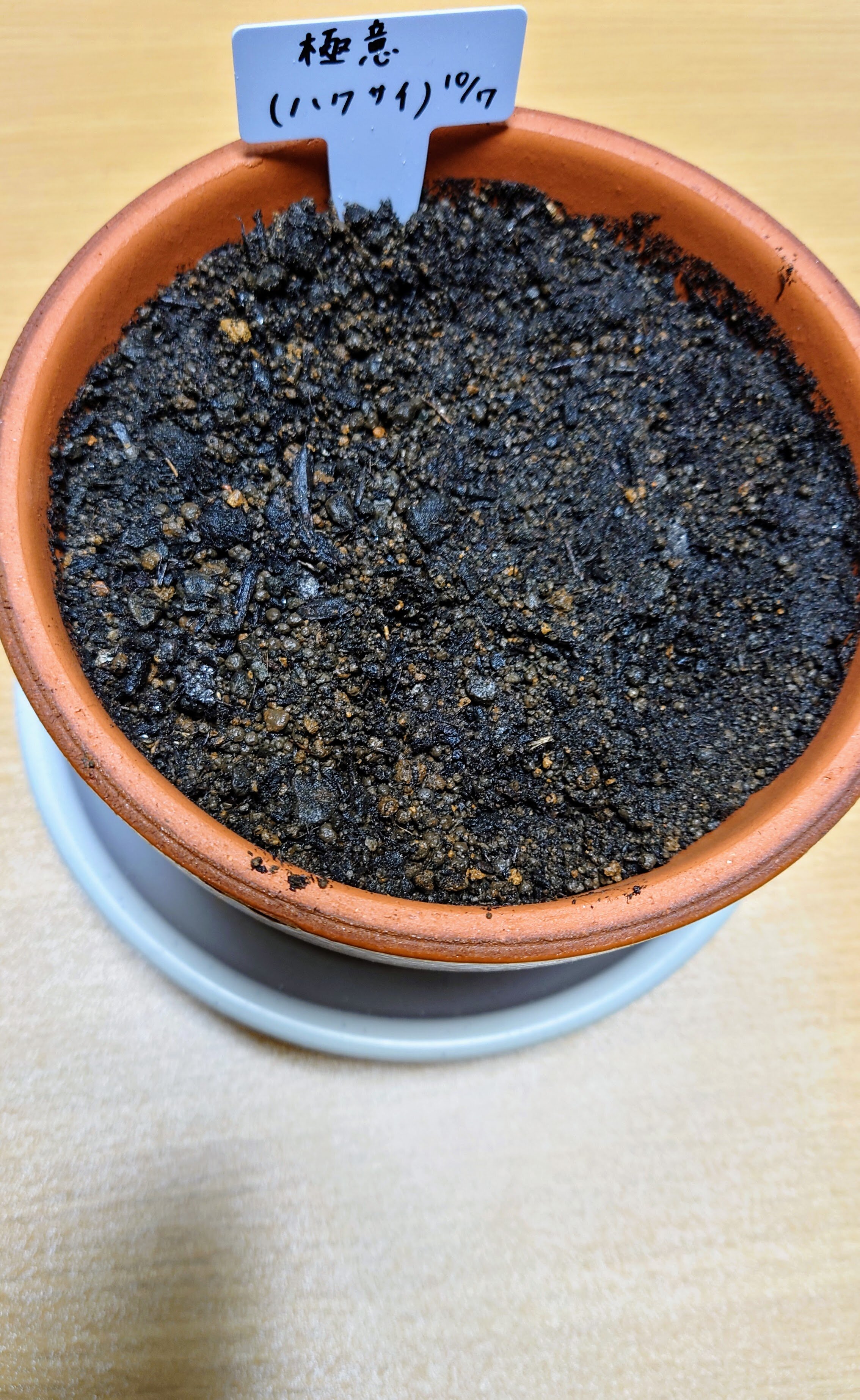 https://www.ige.tohoku.ac.jp/prg/watanabe/as-vegetable2024/2024/11/image.jpg