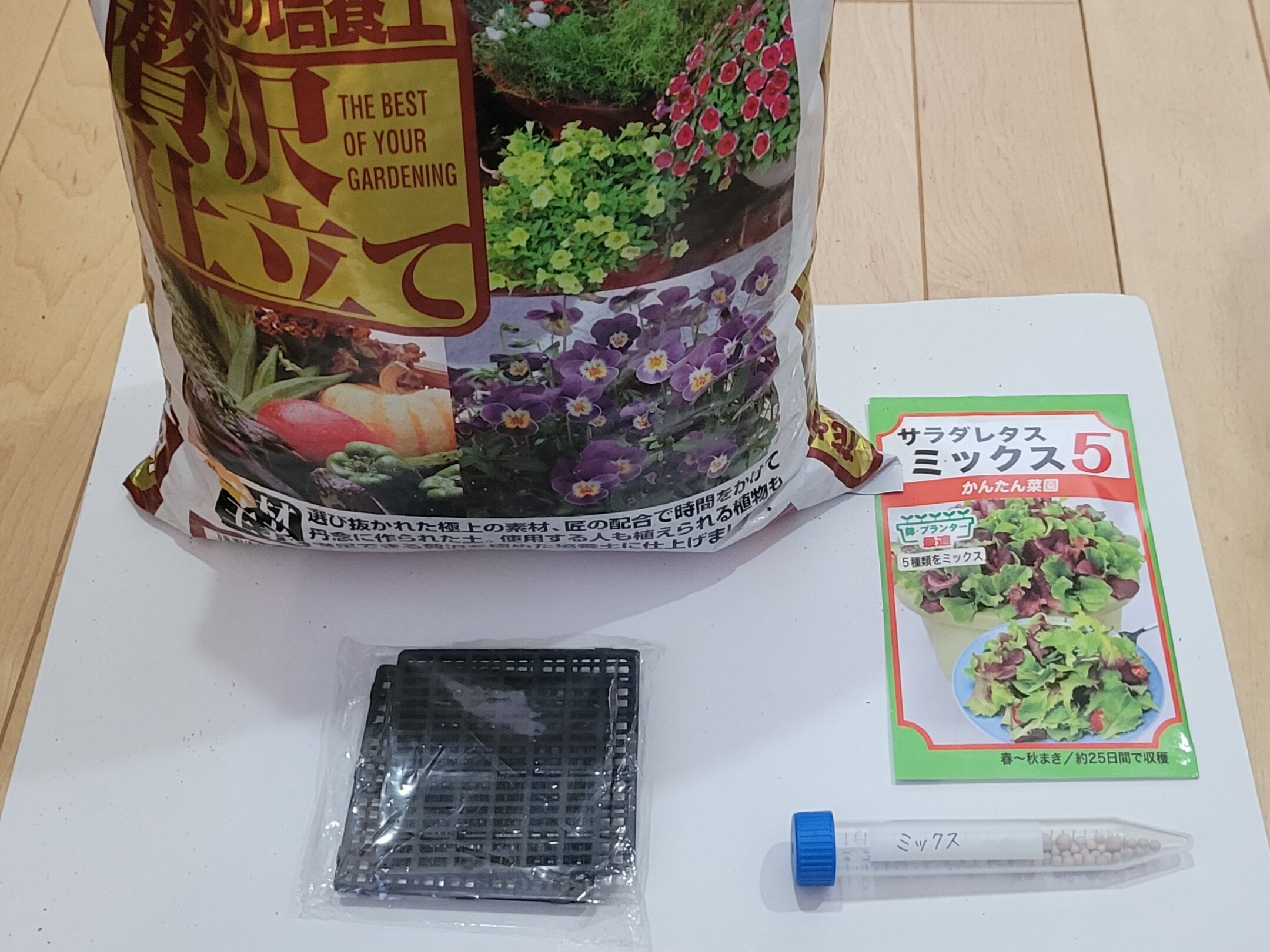 https://www.ige.tohoku.ac.jp/prg/watanabe/as-vegetable2024/2024/12/20241130_142212.jpg