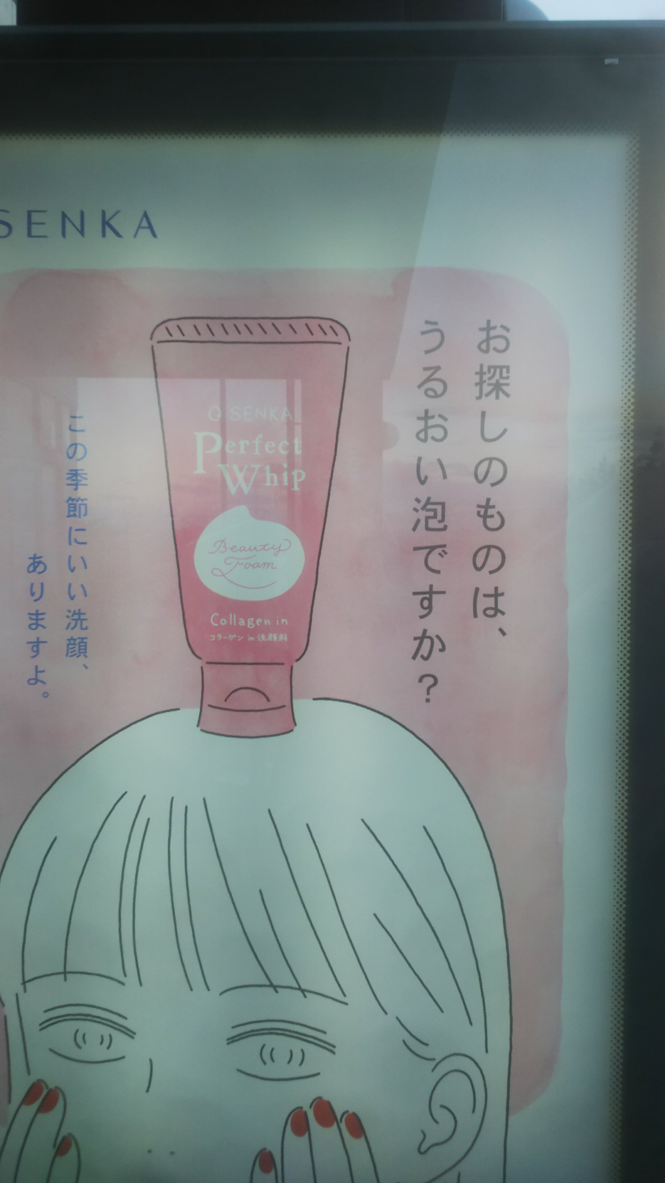 https://www.ige.tohoku.ac.jp/prg/watanabe/as-vegetable2024/2024/12/DSC_0038.JPG
