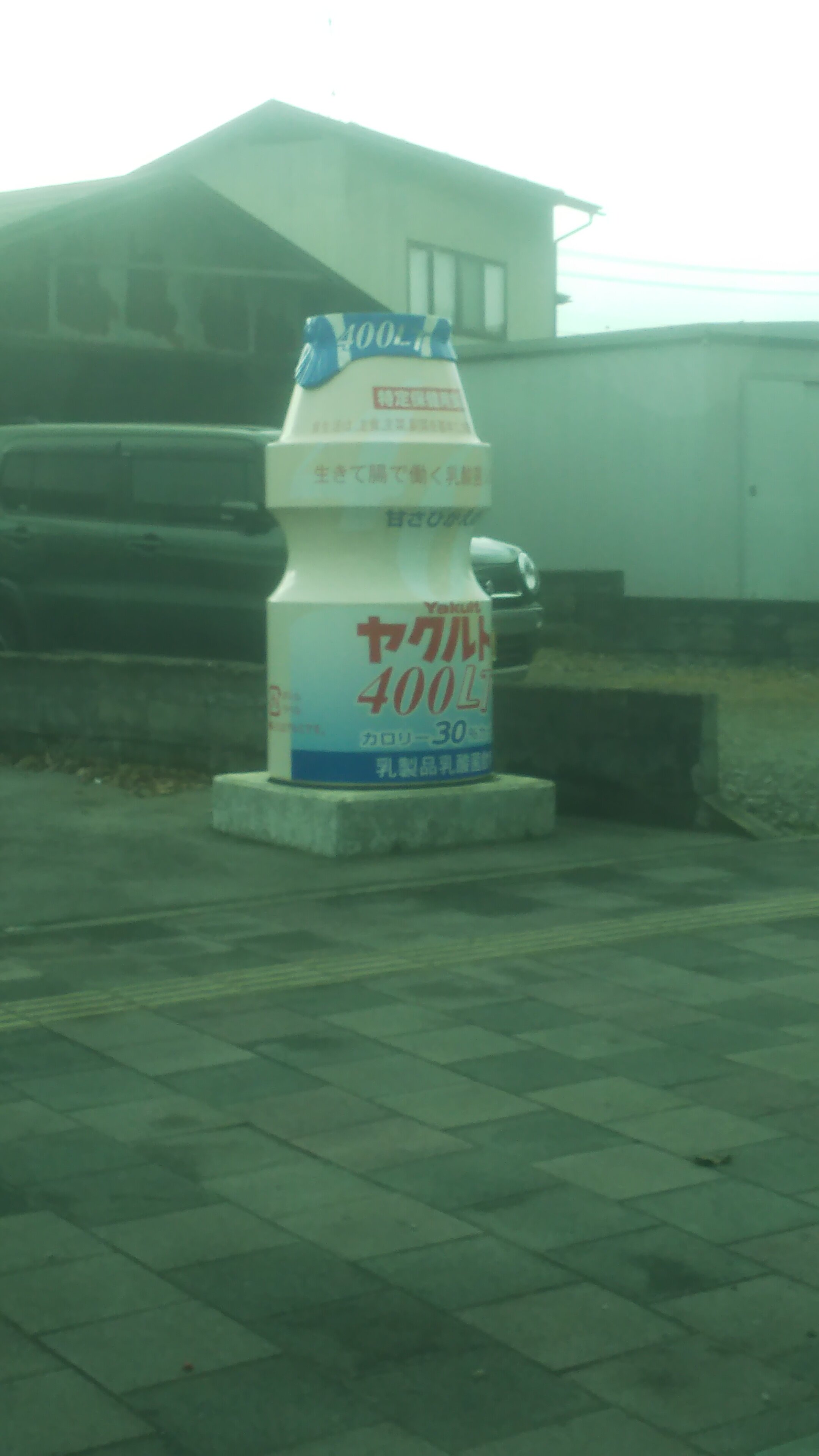 https://www.ige.tohoku.ac.jp/prg/watanabe/as-vegetable2024/2024/12/DSC_0041.JPG