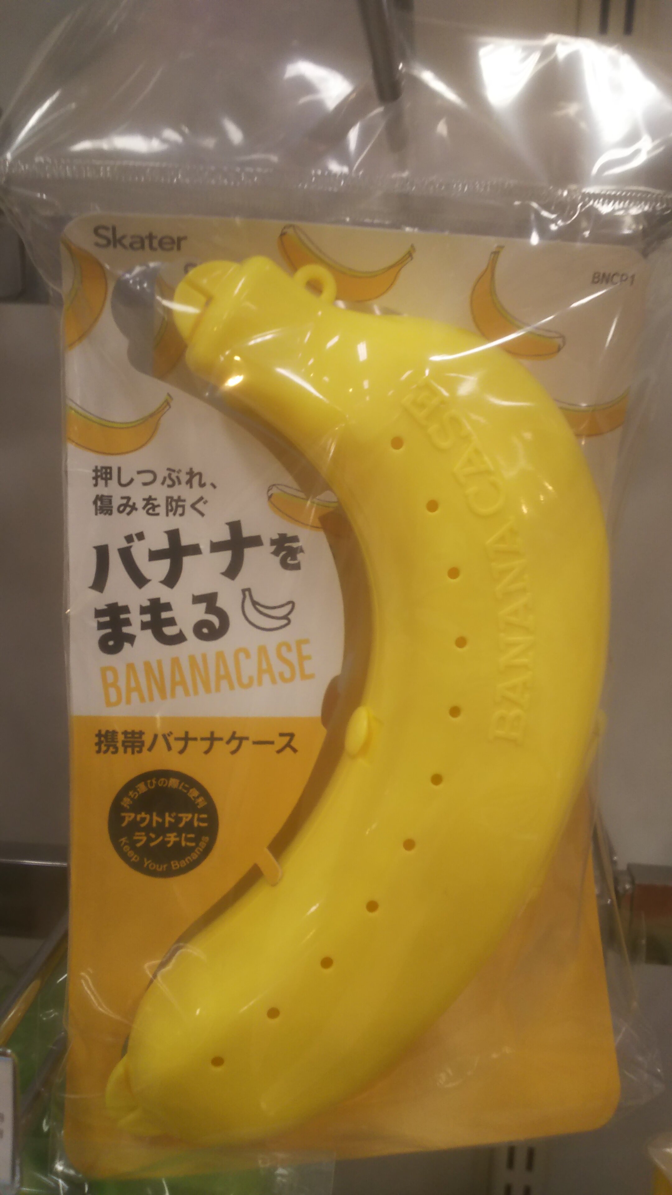 https://www.ige.tohoku.ac.jp/prg/watanabe/as-vegetable2024/2024/12/DSC_0058.JPG