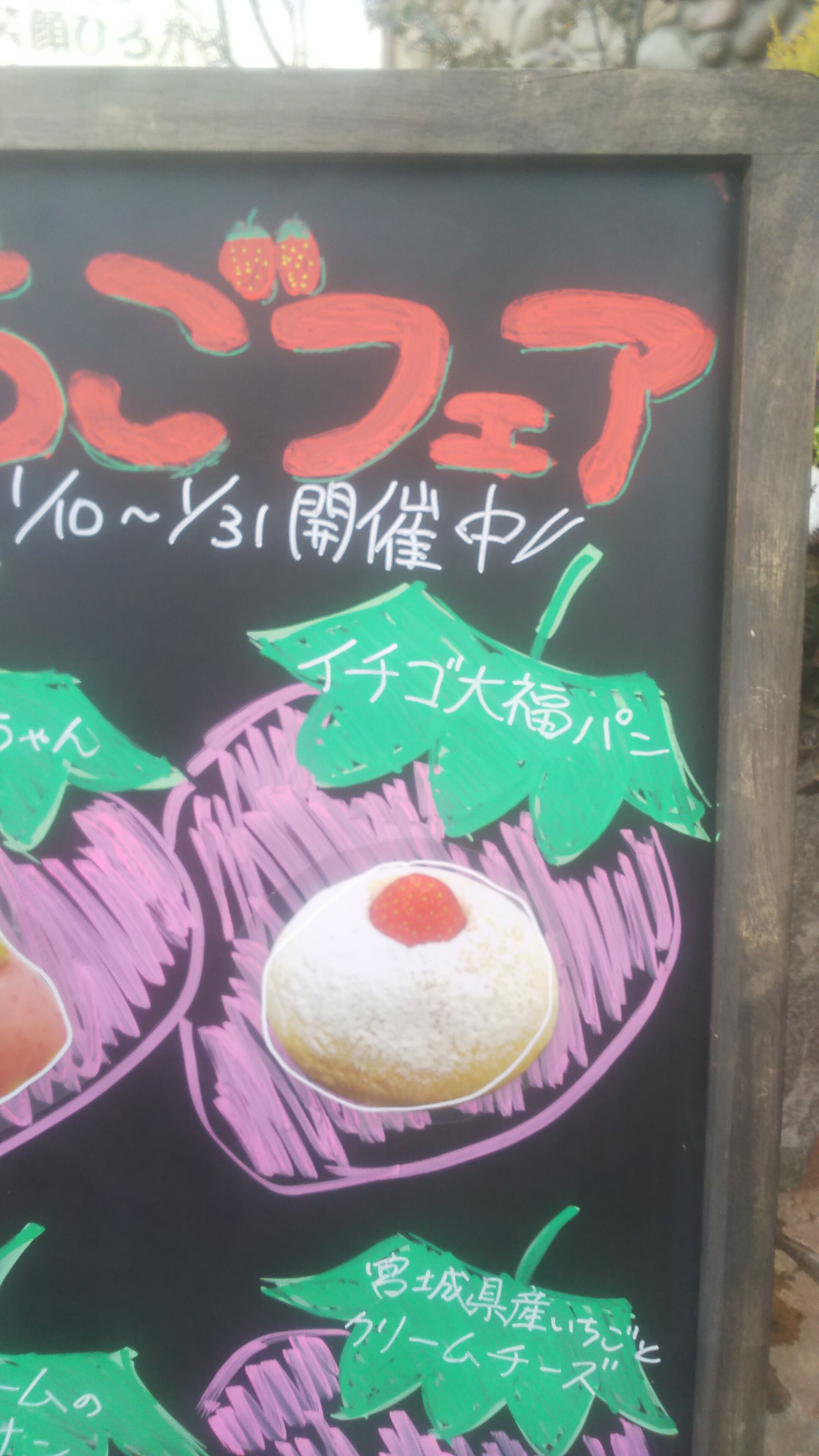 https://www.ige.tohoku.ac.jp/prg/watanabe/as-vegetable2024/2025/01/DSC_0081.JPG