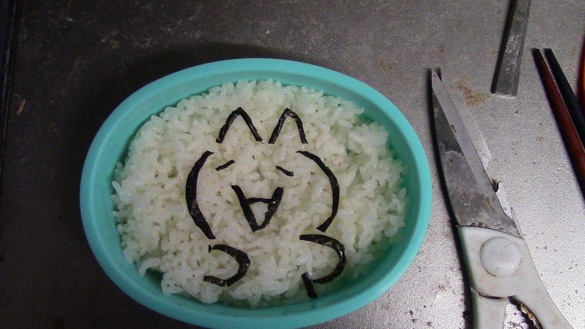 https://www.ige.tohoku.ac.jp/prg/watanabe/as-vegetable2024/2025/01/IMG_0158.JPG