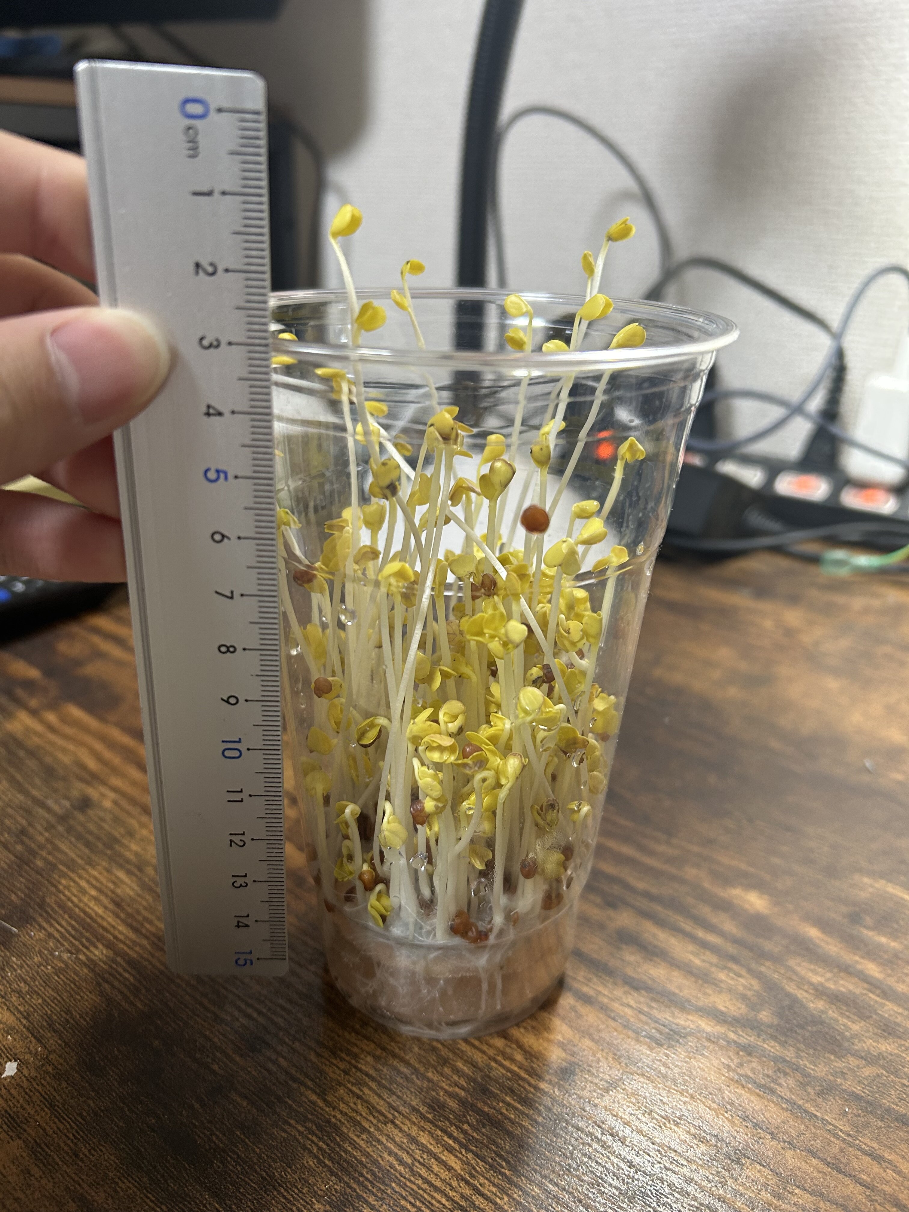 https://www.ige.tohoku.ac.jp/prg/watanabe/as-vegetable2024/2025/01/fe655a5e0af42408005196831851ef1f6d231218.jpg