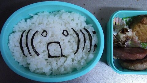 https://www.ige.tohoku.ac.jp/prg/watanabe/as-vegetable2024/2025/03/IMG_0078t.jpg