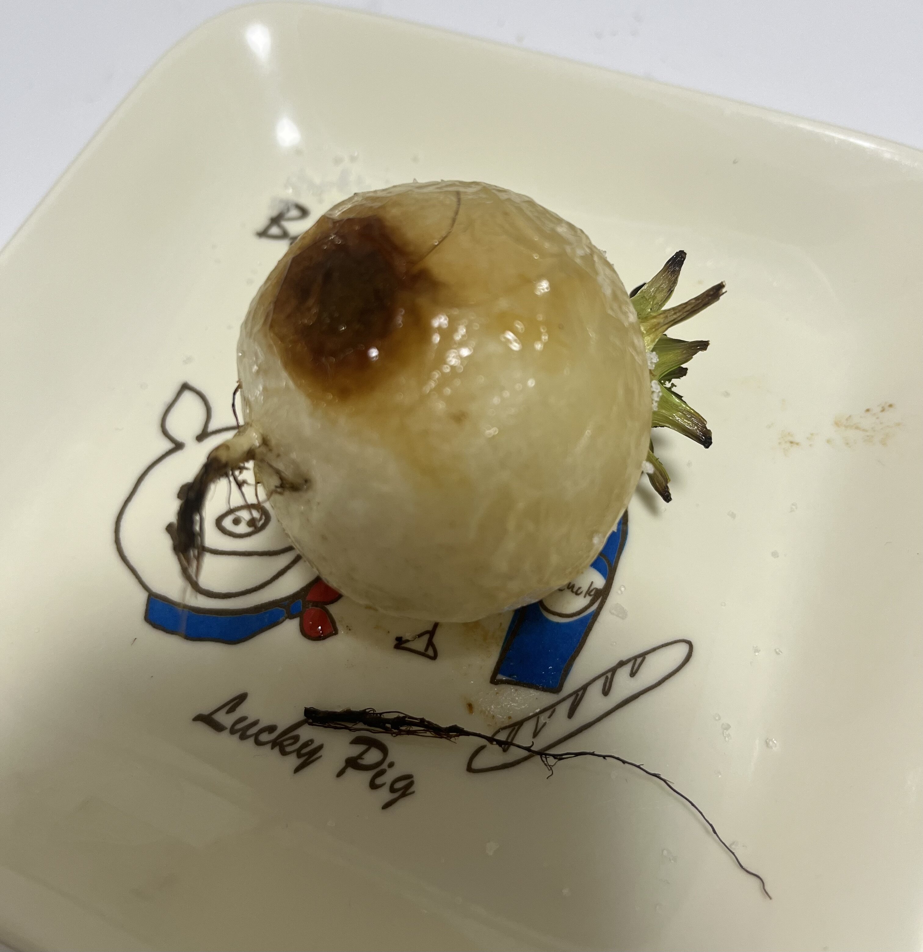 https://www.ige.tohoku.ac.jp/prg/watanabe/as-vegetable2024/2025/03/IMG_8129.jpg