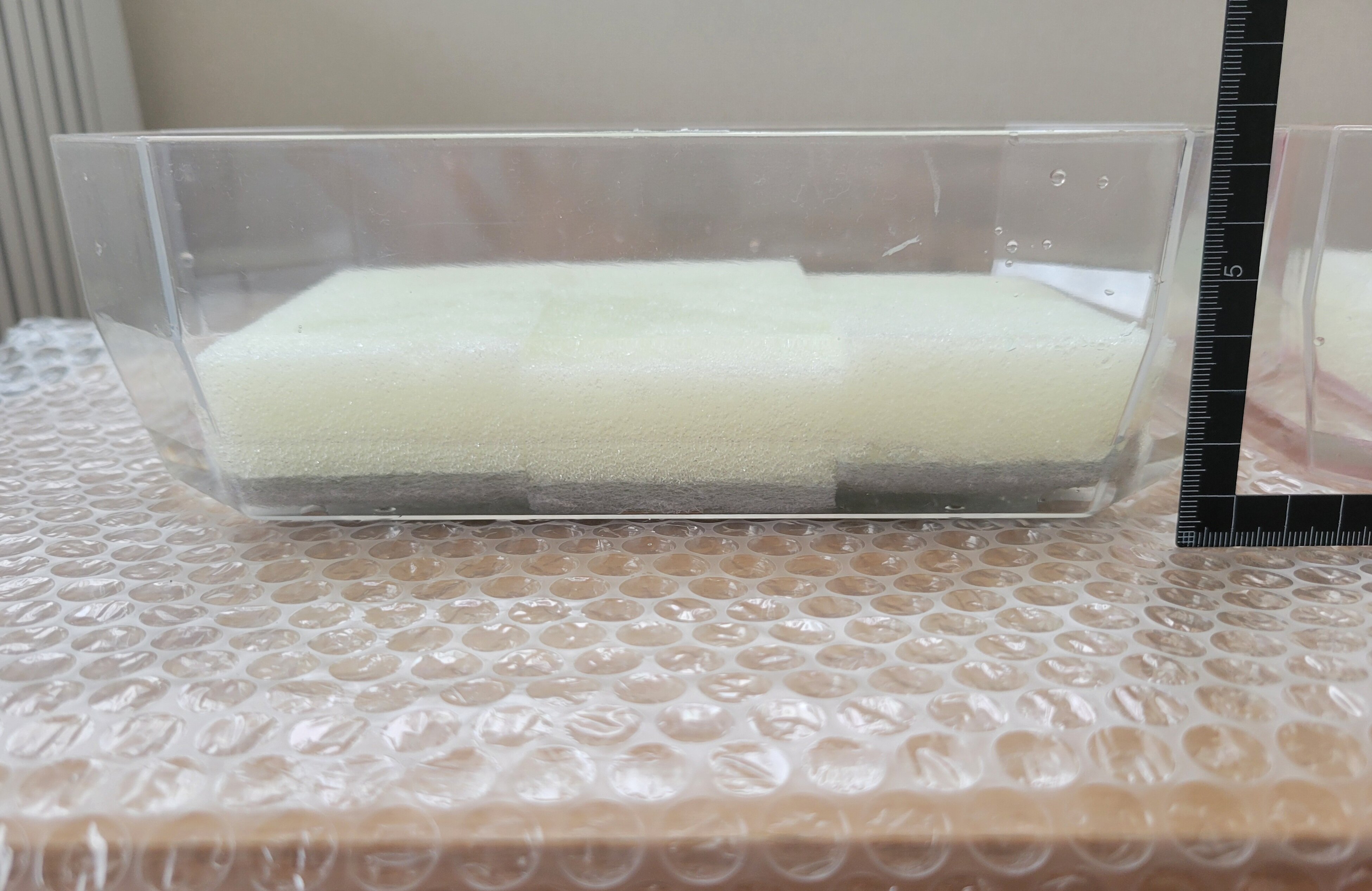 https://www.ige.tohoku.ac.jp/prg/watanabe/as-vegetable2024/2025/05/2df29b3f5b45d264c67b5f64549050ea3002e340.jpg