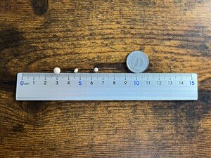 IMG_5578.JPG