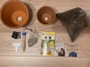IMG_8679.JPG