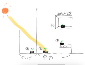 日光番号.jpg
