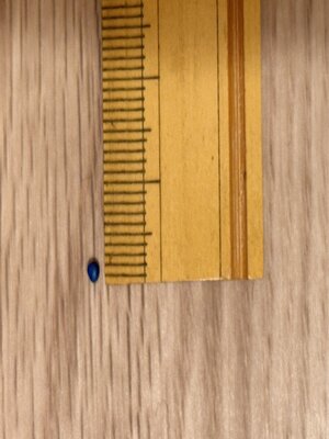 IMG_8683.JPG